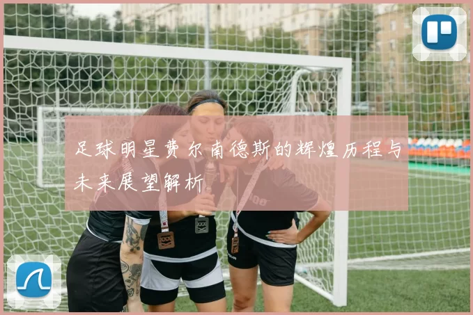 足球明星费尔南德斯的辉煌历程与未来展望解析