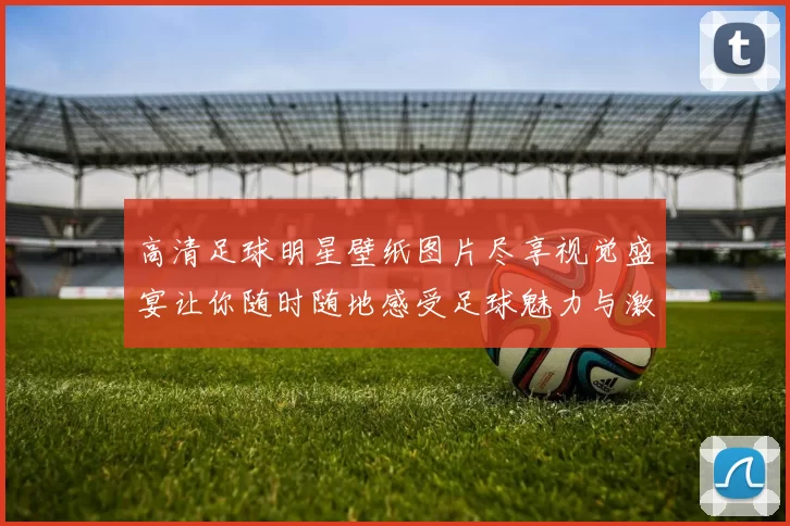 高清足球明星壁纸图片尽享视觉盛宴让你随时随地感受足球魅力与激情