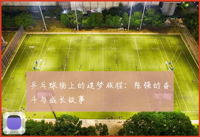 乒乓球场上的追梦旅程：陈强的奋斗与成长故事