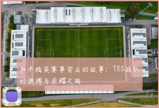 和平精英赛事背后的故事：TES战队的拼搏与荣耀之路