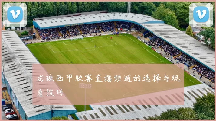 龙珠西甲联赛直播频道的选择与观看技巧