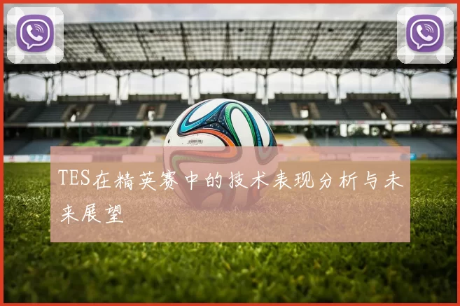 TES在精英赛中的技术表现分析与未来展望