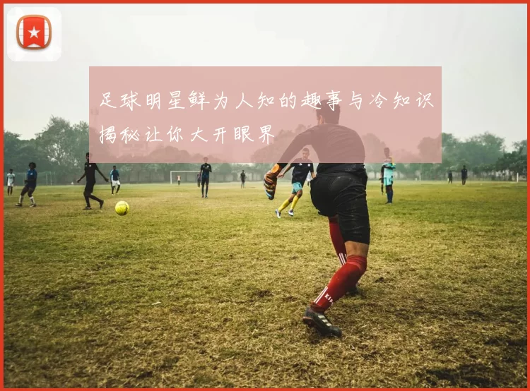 足球明星鲜为人知的趣事与冷知识揭秘让你大开眼界