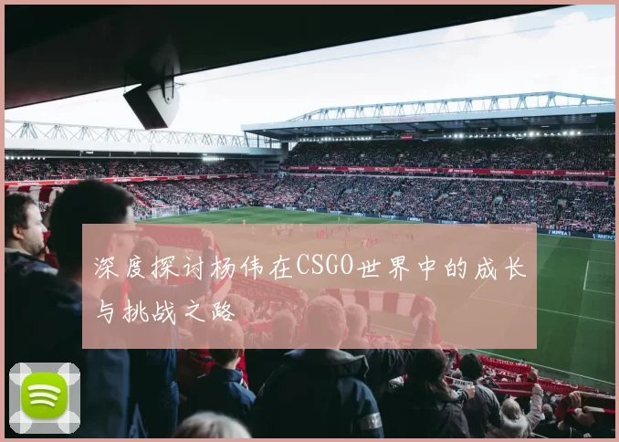 深度探讨杨伟在CSGO世界中的成长与挑战之路