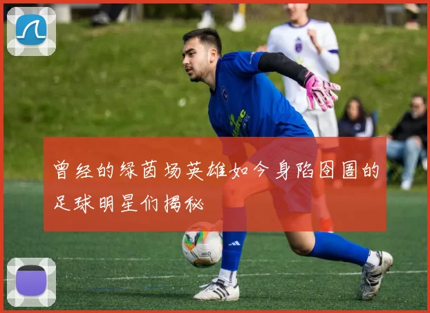 曾经的绿茵场英雄如今身陷囹圄的足球明星们揭秘