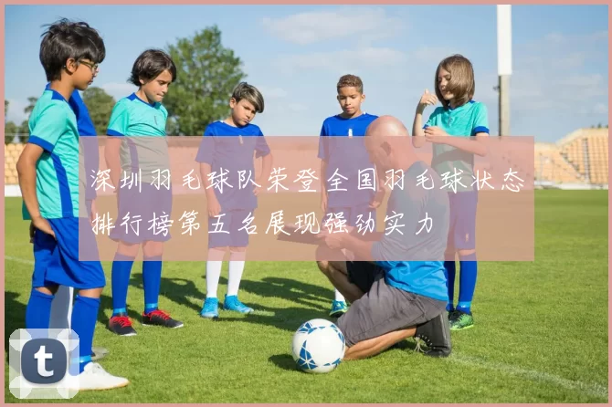 深圳羽毛球队荣登全国羽毛球状态排行榜第五名展现强劲实力