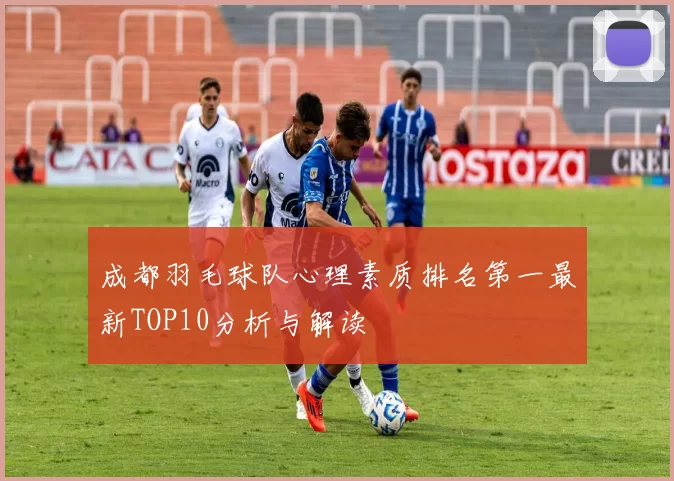 成都羽毛球队心理素质排名第一最新TOP10分析与解读