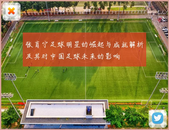 张育宁足球明星的崛起与成就解析及其对中国足球未来的影响