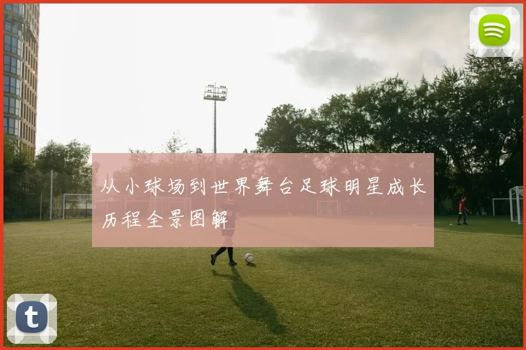从小球场到世界舞台足球明星成长历程全景图解