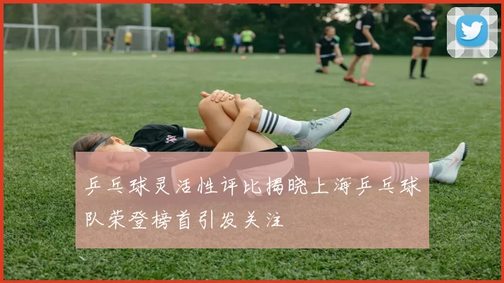 乒乓球灵活性评比揭晓上海乒乓球队荣登榜首引发关注