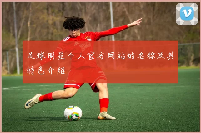 足球明星个人官方网站的名称及其特色介绍