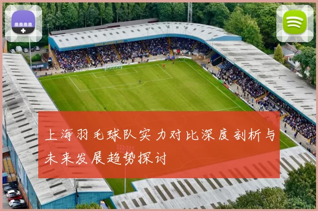 上海羽毛球队实力对比深度剖析与未来发展趋势探讨