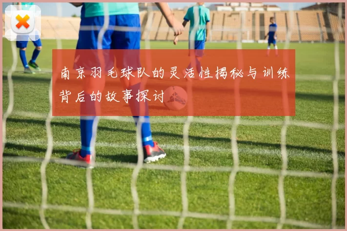南京羽毛球队的灵活性揭秘与训练背后的故事探讨