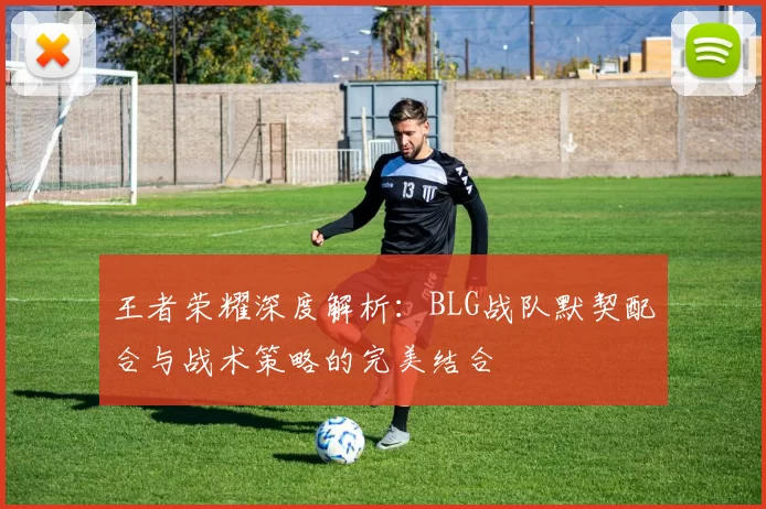 王者荣耀深度解析：BLG战队默契配合与战术策略的完美结合