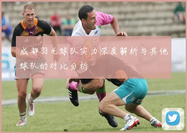 成都羽毛球队实力深度解析与其他球队的对比分析