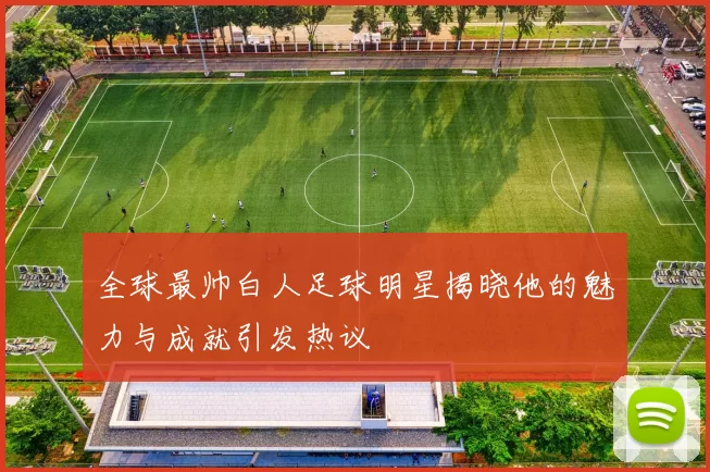 全球最帅白人足球明星揭晓他的魅力与成就引发热议