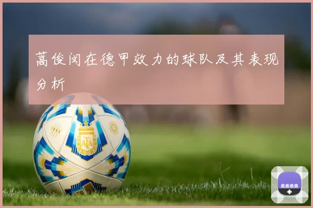 蒿俊闵在德甲效力的球队及其表现分析
