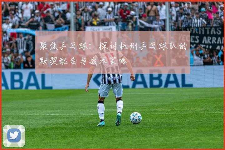 聚焦乒乓球:探讨杭州乒乓球队的默契配合与战术策略