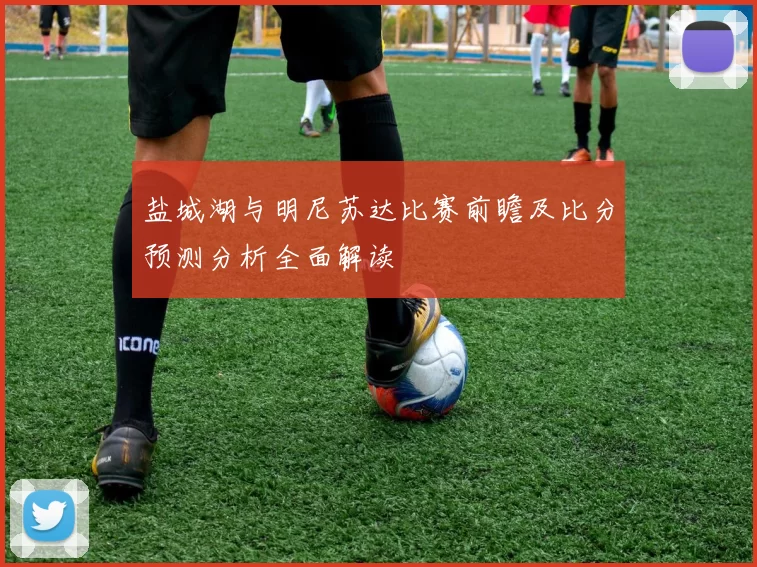 盐城湖与明尼苏达比赛前瞻及比分预测分析全面解读