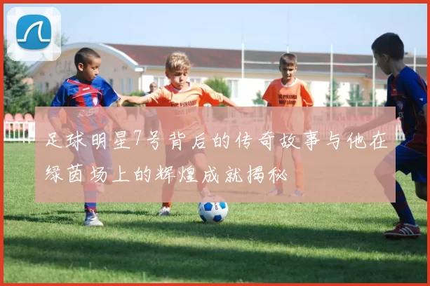 足球明星7号背后的传奇故事与他在绿茵场上的辉煌成就揭秘
