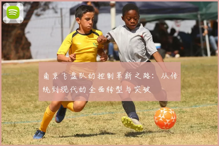 南京飞盘队的控制革新之路：从传统到现代的全面转型与突破