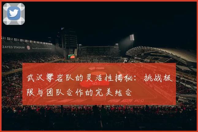 武汉攀岩队的灵活性揭秘：挑战极限与团队合作的完美结合