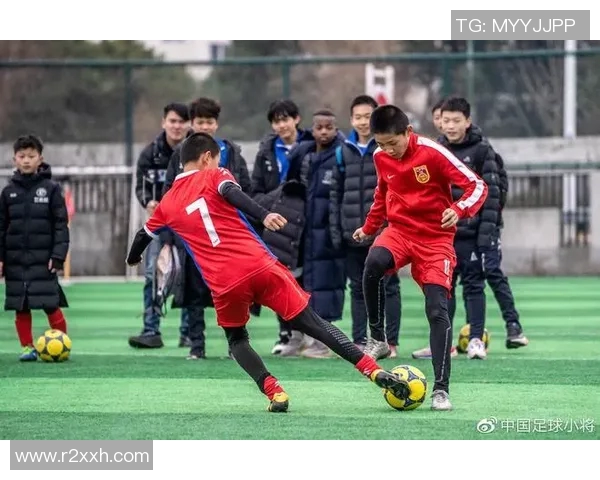 南京足球队的节奏探秘:从历史传承到未来展望的全面分析